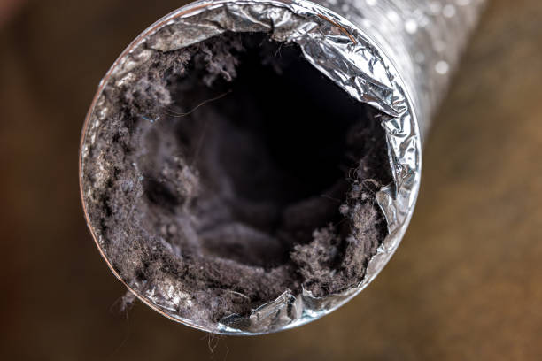 Best Professional Duct Cleaning Services  in Cerro Gordo, IL